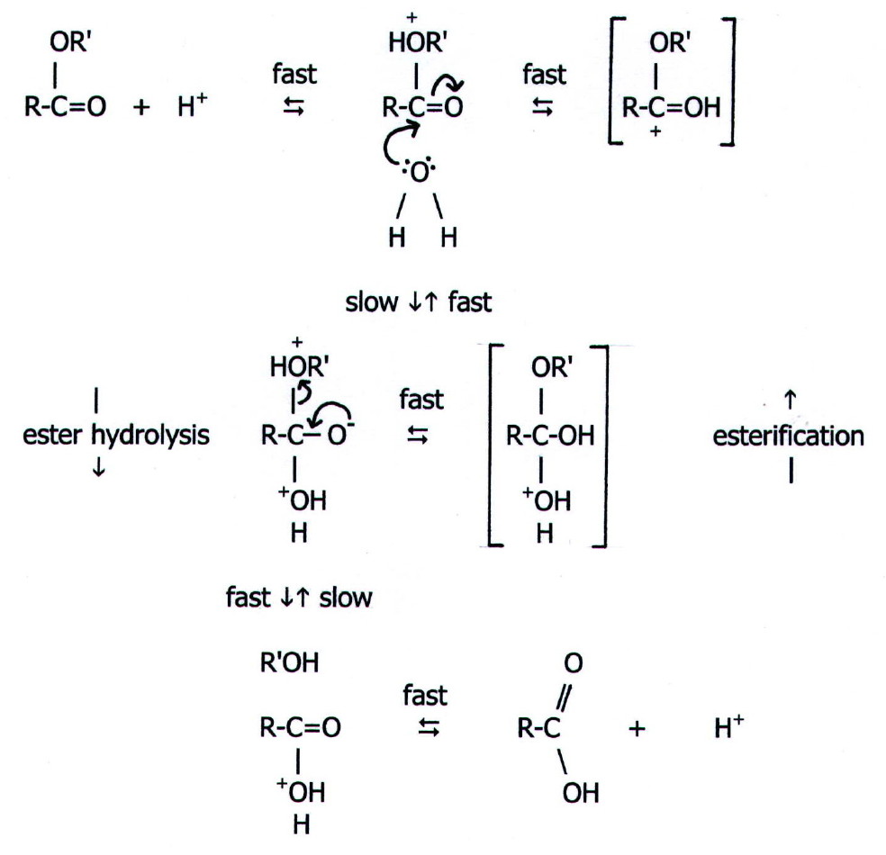 What Happens To The Temperature When An Acid Reacts With An Alkali