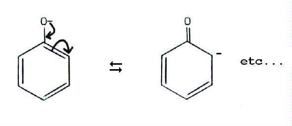 phenoxide ion